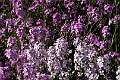 20090622_172717