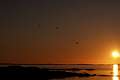 20090623_002121