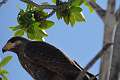 20140303-152804_DSC-HX20V